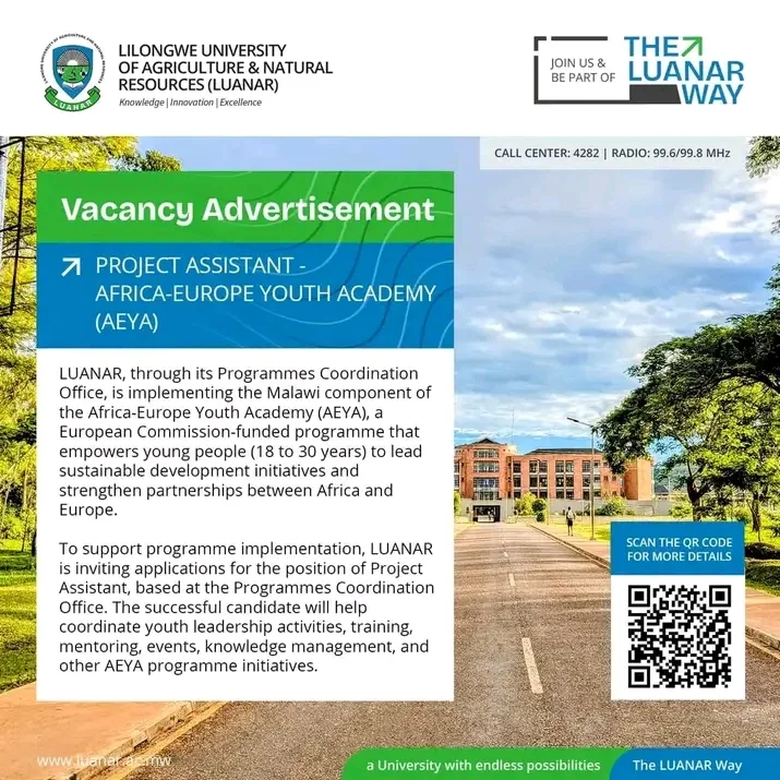 Project assistant 