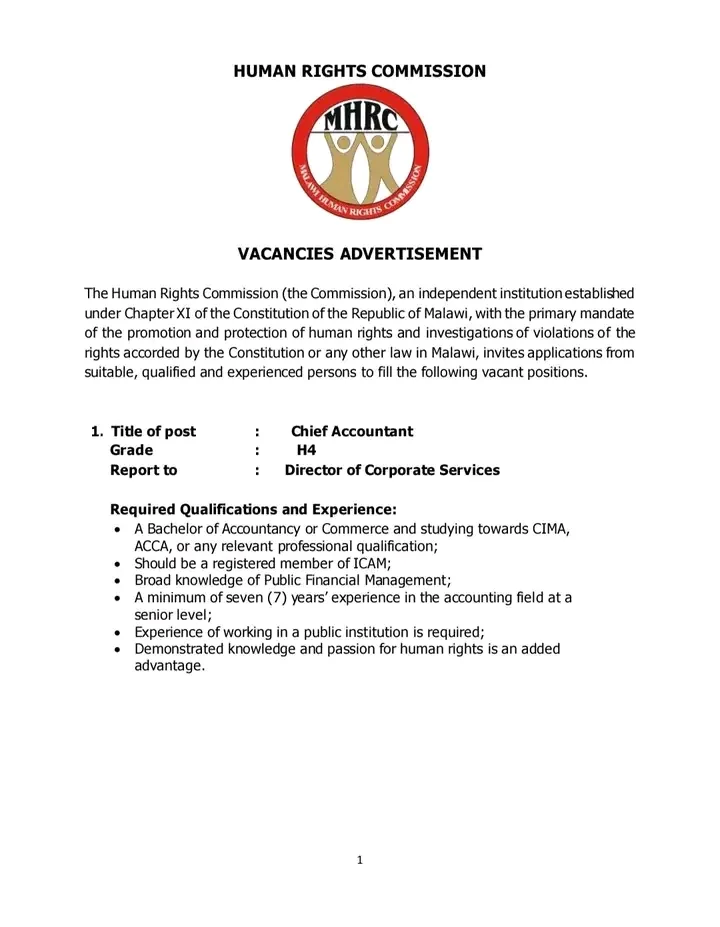 Multiple Positions: Chief Accountant, Procurement Officer & Driver