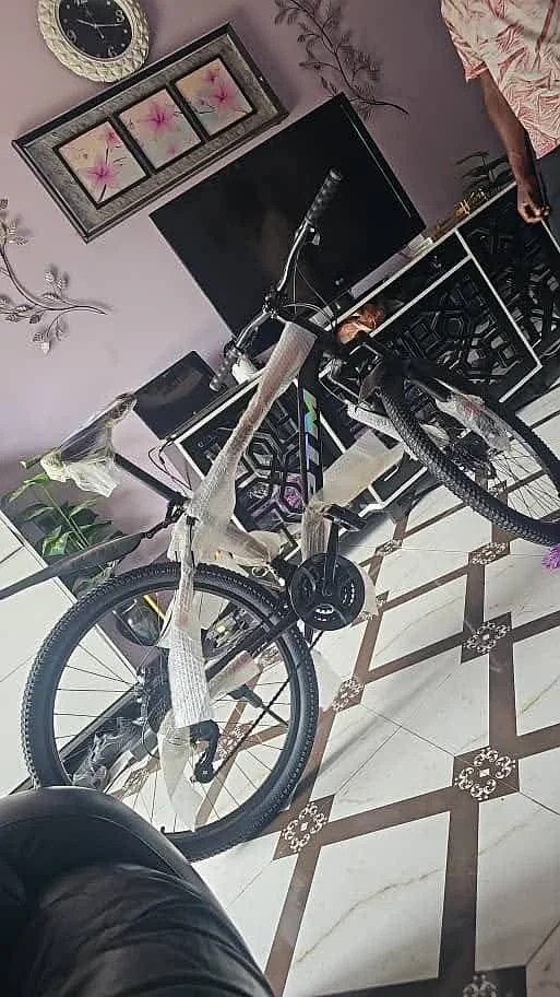 Mountain bike