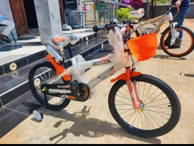 Mountain bike 