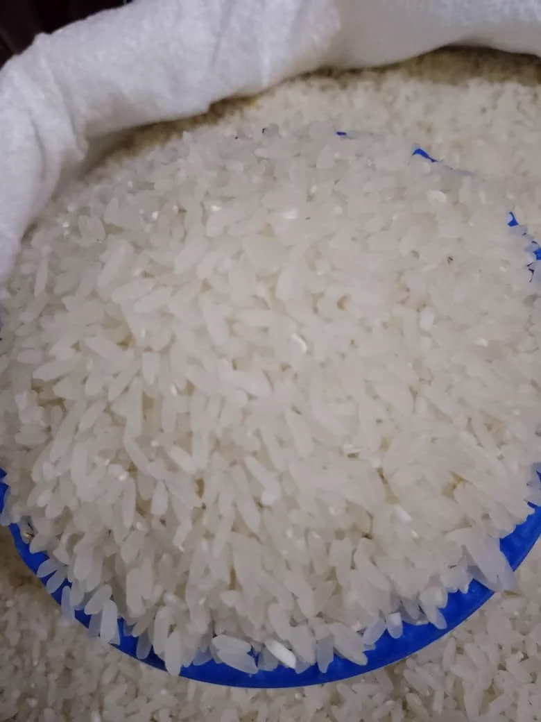 Rice 