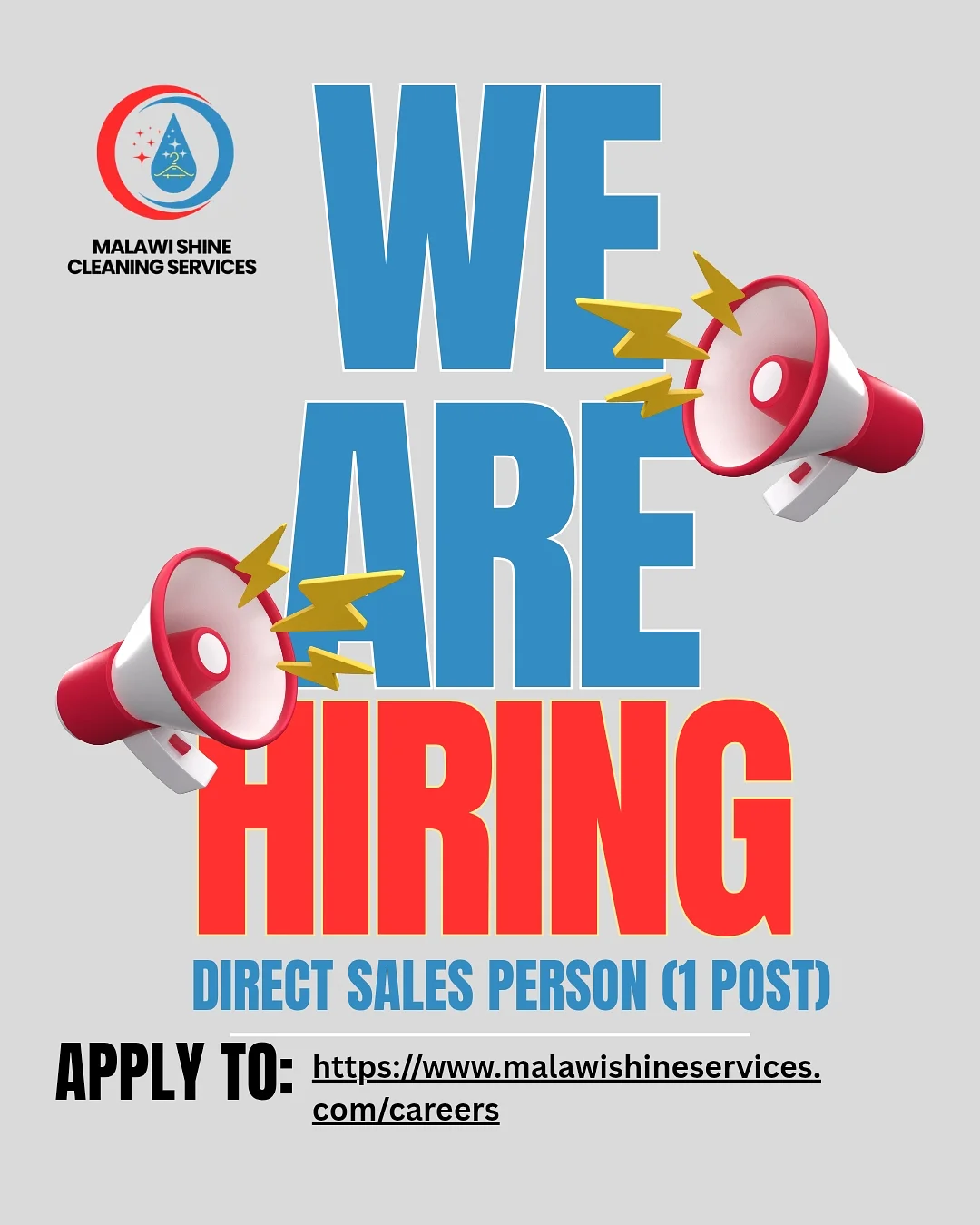 DIRECT SALES PERSON
