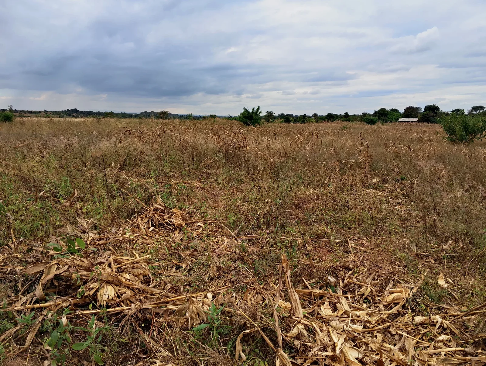 LAND FOR SALE SIZE 22 ACRES (0989849411)