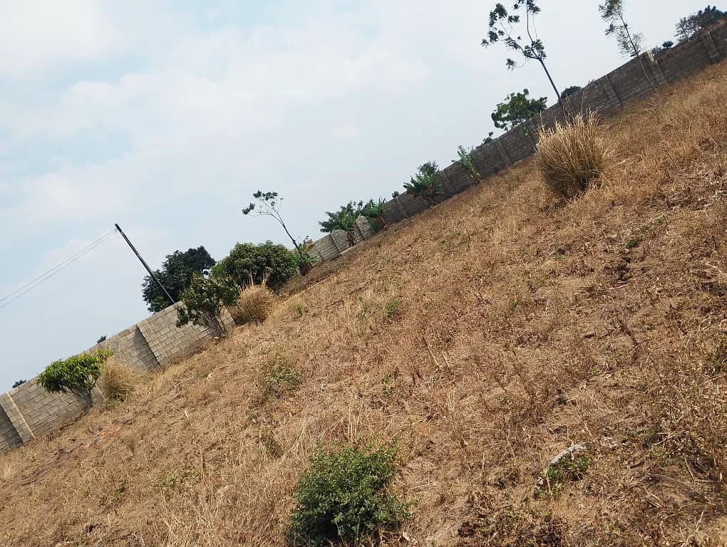 PRIME LAND FOR SALE SIZE 2 ACRES (0989849411)