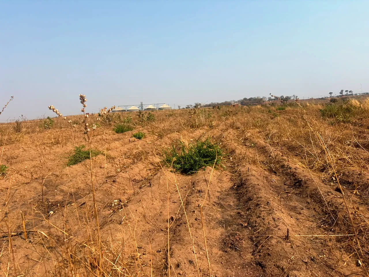 LAND FOR SALE 13 ACRES (+265989849411)